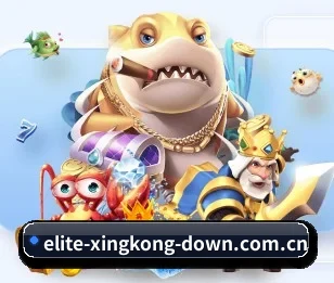 探索 xingkong官网 的故事