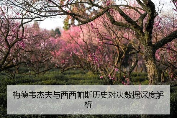 梅德韦杰夫与西西帕斯历史对决数据深度解析